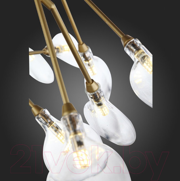 Изображение товара Люстра ST Luce Riccardo SL411.203.45