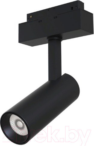 Изображение товара Трековый светильник Maytoni TR019-2-10W4K-B