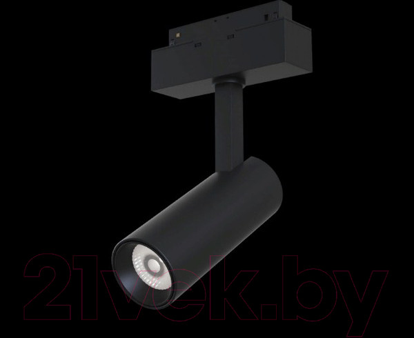 Изображение товара Трековый светильник Maytoni TR019-2-10W4K-B
