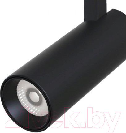 Изображение товара Трековый светильник Maytoni TR019-2-10W4K-B