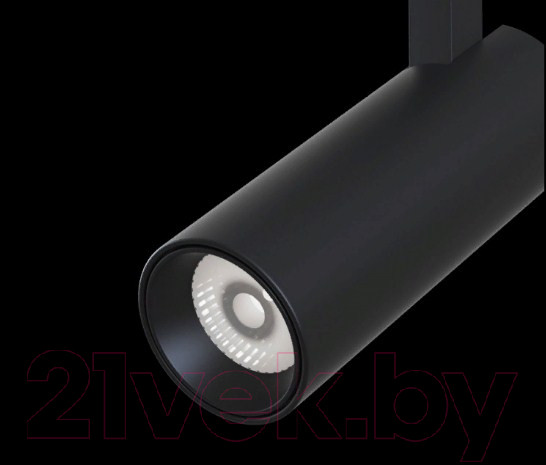Изображение товара Трековый светильник Maytoni TR019-2-10W4K-B