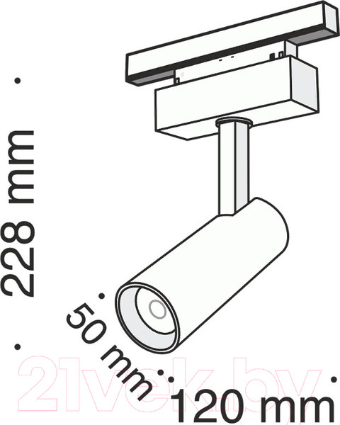 Изображение товара Трековый светильник Maytoni TR019-2-10W4K-B