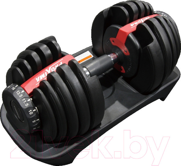 Изображение товара Гантель Proxima Gigant / PS-ADB-2.5K/24K