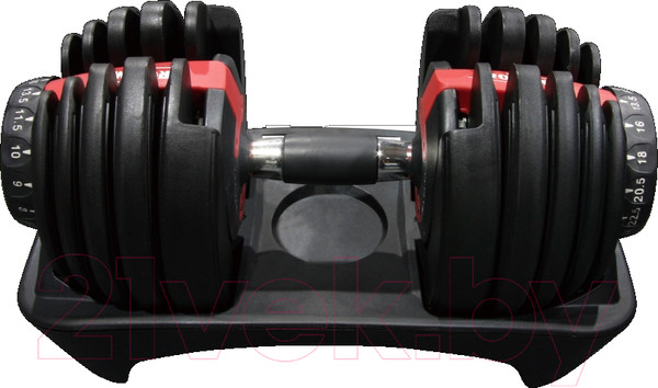 Изображение товара Гантель Proxima Gigant / PS-ADB-2.5K/24K