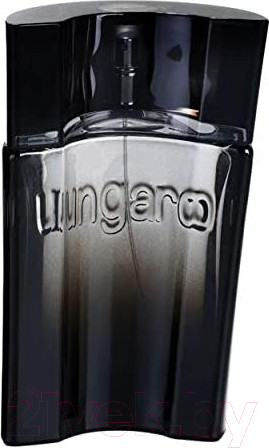 Изображение товара Туалетная вода Ungaro Masculin for Men (90мл)