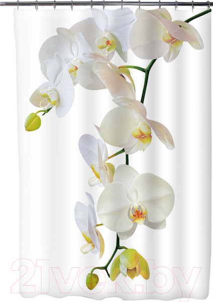 Изображение товара Шторка-занавеска для ванны FORA Магия PH22