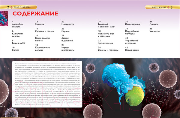 Изображение товара Энциклопедия Росмэн Тело человека. Детская энциклопедия
