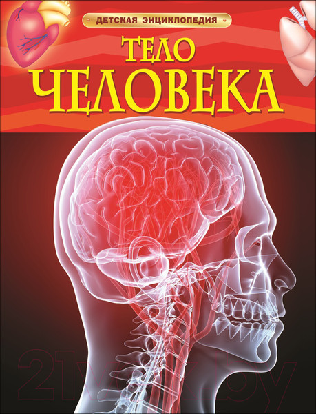 Изображение товара Энциклопедия Росмэн Тело человека. Детская энциклопедия