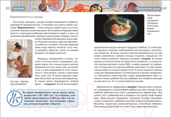 Изображение товара Энциклопедия Росмэн Человек