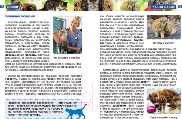 Изображение товара Энциклопедия Росмэн Кошки
