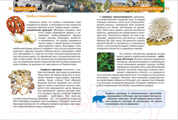 Изображение товара Энциклопедия Росмэн Красная книга