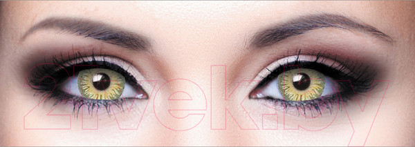 Изображение товара Комплект контактных линз Hera Premium Grey Sph-4.50 (2шт)