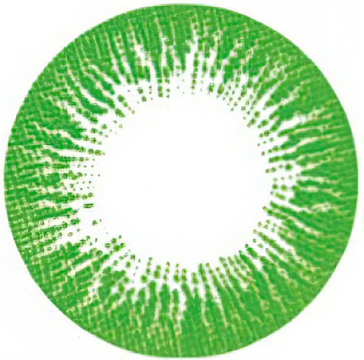 Изображение товара Комплект контактных линз Hera Rise Green Sph-4.50 (2шт)