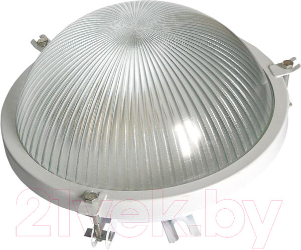 Изображение товара Светильник ЖКХ Элект НПП 03-100-001