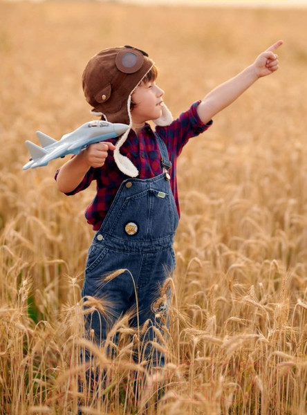 Изображение товара Самолет игрушечный Полесье Истребитель Шторм / 83371