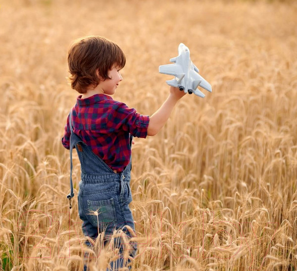 Изображение товара Самолет игрушечный Полесье Истребитель Шторм / 83371