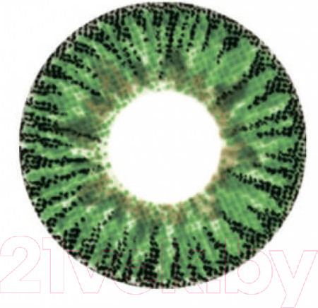 Изображение товара Комплект контактных линз Hera Elegance Green Sph-6.00 (2шт)