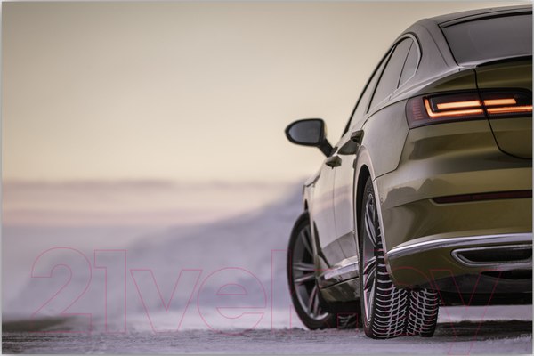 Изображение товара Зимняя шина Nokian Tyres WR Snowproof 225/50R17 94H