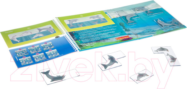 Изображение товара Развивающая игра Bondibon Для путешествий. Дельфинчики / ВВ4675