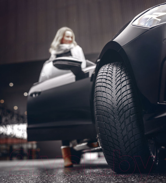 Изображение товара Зимняя шина Nokian Tyres WR Snowproof P 245/45R19 102V