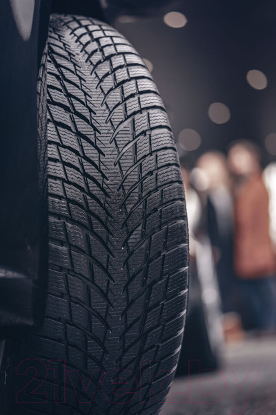 Изображение товара Зимняя шина Nokian Tyres WR Snowproof P 245/45R19 102V