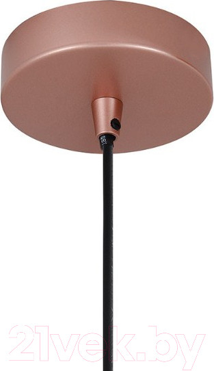 Изображение товара Потолочный светильник FAVOURITE Otium 2212-1P