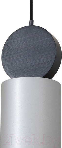 Изображение товара Потолочный светильник FAVOURITE Otium 2270-1P