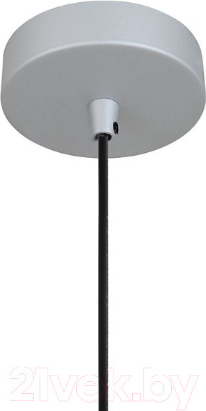 Изображение товара Потолочный светильник FAVOURITE Otium 2270-1P