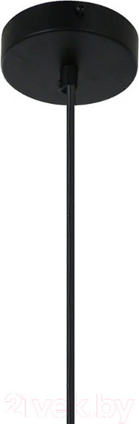 Изображение товара Потолочный светильник FAVOURITE Sonnenblume 2356-2P