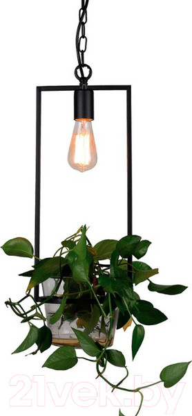 Изображение товара Потолочный светильник FAVOURITE Situla 1975-1P