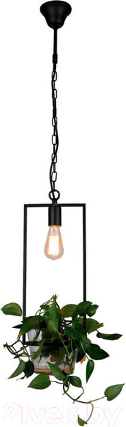 Изображение товара Потолочный светильник FAVOURITE Situla 1975-1P