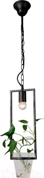 Изображение товара Потолочный светильник FAVOURITE Situla 1976-1P