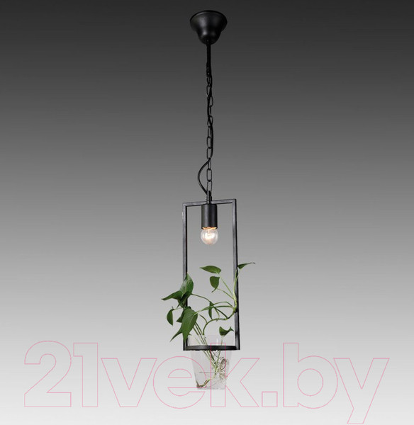 Изображение товара Потолочный светильник FAVOURITE Situla 1976-1P