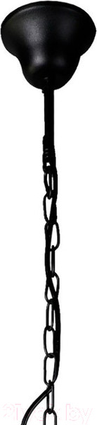 Изображение товара Потолочный светильник FAVOURITE Situla 1976-1P