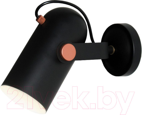 Изображение товара Спот FAVOURITE Ampolla 2007-1W