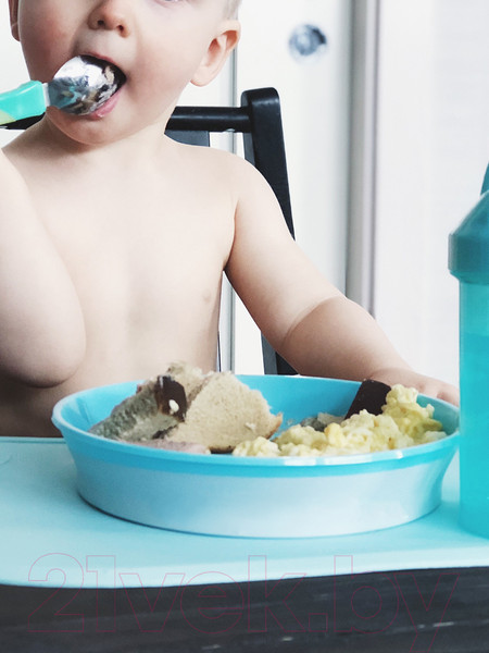 Изображение товара Тарелка для кормления Twistshake Plate / 78160 (пастельный синий)