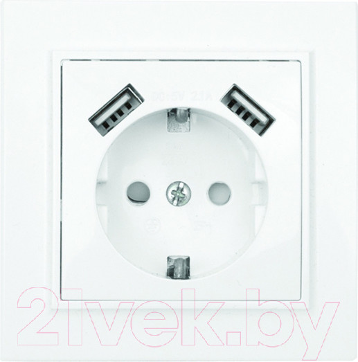 Изображение товара Розетка EKF Basic Минск СП 1-м 16А / ERR16-028-100-2USB (белый)