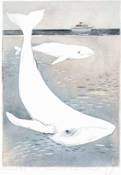 Изображение товара Книга Попурри Где твой дом (Кларк М.)