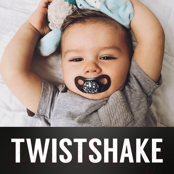 Изображение товара Набор пустышек Twistshake 78092 (2шт, черный/белый)