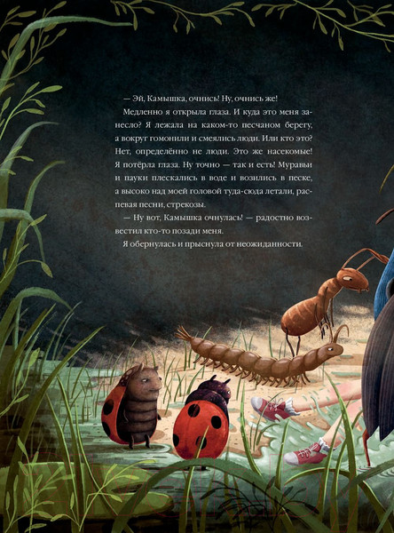 Изображение товара Художественная книга Попурри Камышка в Стране Счастья (Видмарк М., Дзюбак Э.)