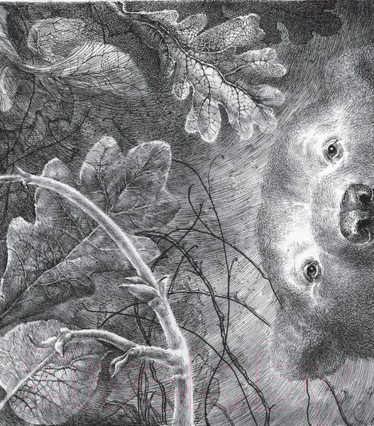 Изображение товара Художественная книга Попурри Когда мне хочется молчать (Христова З.)