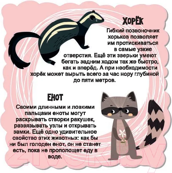 Изображение товара Развивающие карточки Попурри Мир животных для малышей (Мишина С.)