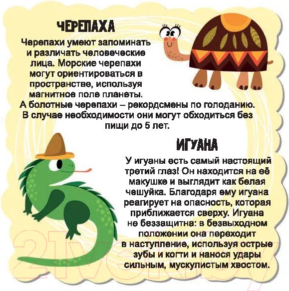 Изображение товара Развивающие карточки Попурри Мир животных для малышей (Мишина С.)
