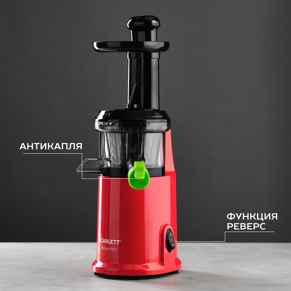Изображение товара Соковыжималка электрическая Scarlett SC-JE50S60