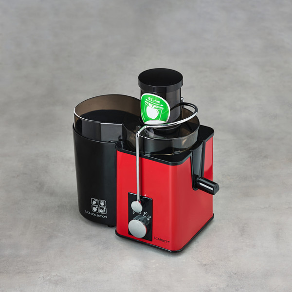 Изображение товара Соковыжималка электрическая Scarlett SC-JE50S49