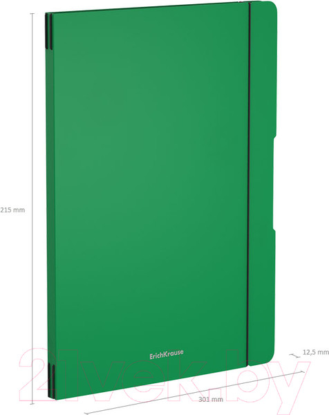 Изображение товара Тетрадь Erich Krause FolderBook Classic / 48231 (2х48л, клетка)