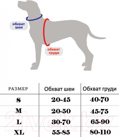 Изображение товара Ремень безопасности для собак Duvo Plus 121005/DV (L, черный)