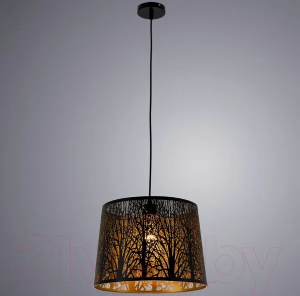 Изображение товара Потолочный светильник Arte Lamp Celesta A2769SP-1BK