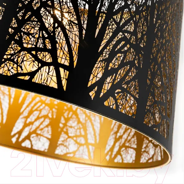 Изображение товара Потолочный светильник Arte Lamp Celesta A2769SP-1BK