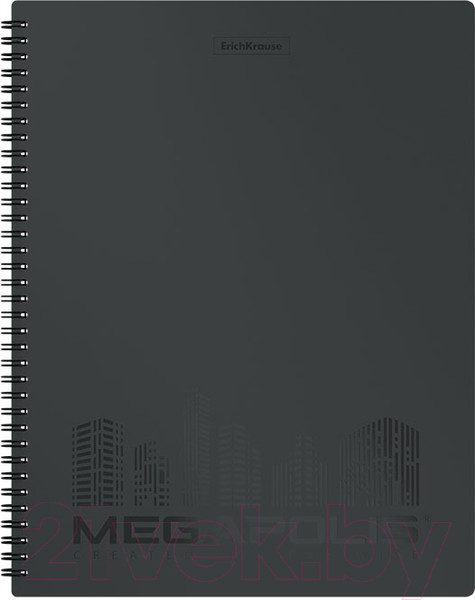 Изображение товара Папка для бумаг Erich Krause Megapolis / 50512